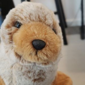 Meet your Posher, Char